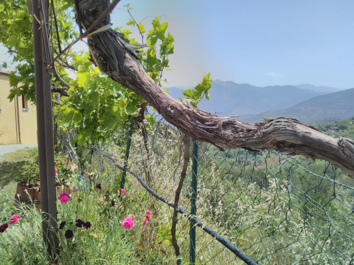 Villaggio Dei Balocchi Castelbuono  Eksteriør billede